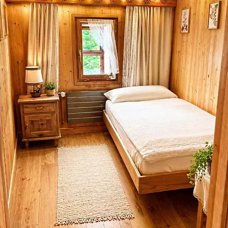 Comfortable And Modern In